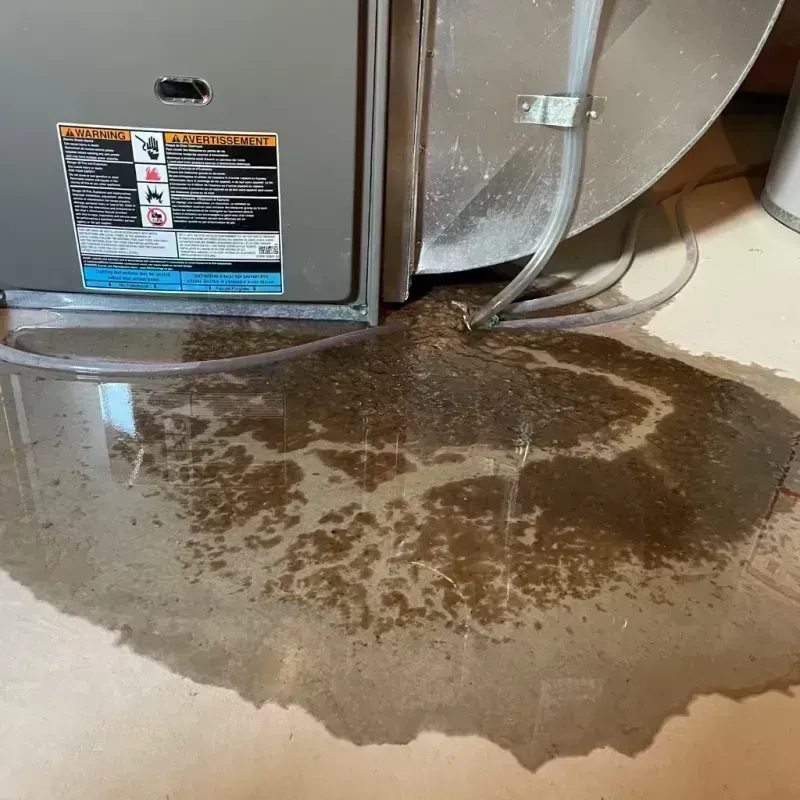 Appliance Leak Cleanup in Canton, TX